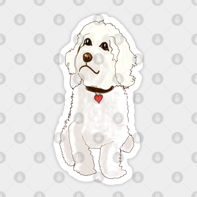 Cavapoo Cavoodle  Cavapoochon white doodle - cute cavalier King Charles spaniel Bichon frise Sticker by Artonmytee